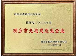 2023年度桐鄉(xiāng)先進建筑業(yè)企業(yè)